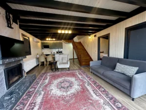 sapancada kiralık bungalov evleri